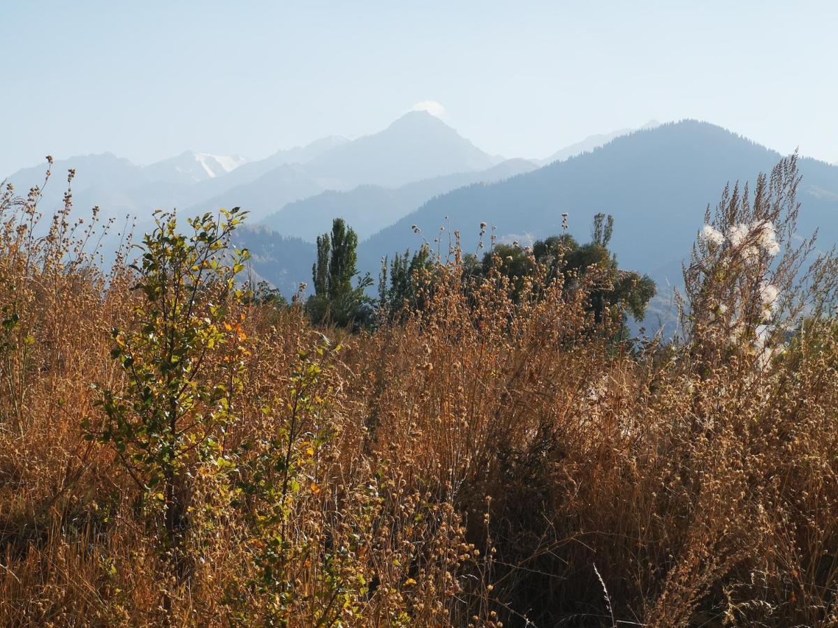 Гостевой Дом Discovery Almaty Extérieur photo
